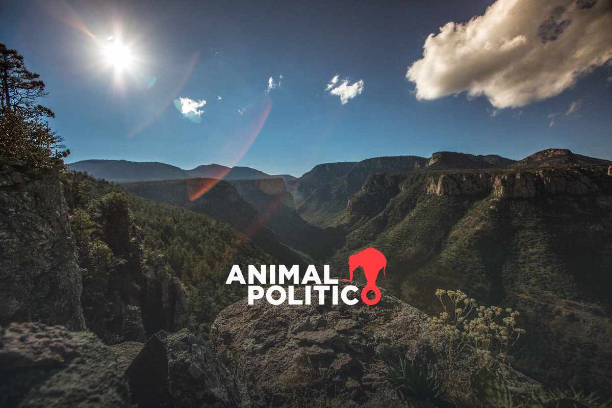 Áreas Naturales Protegidas en México enfrentan falta de presupuesto y vigilancia