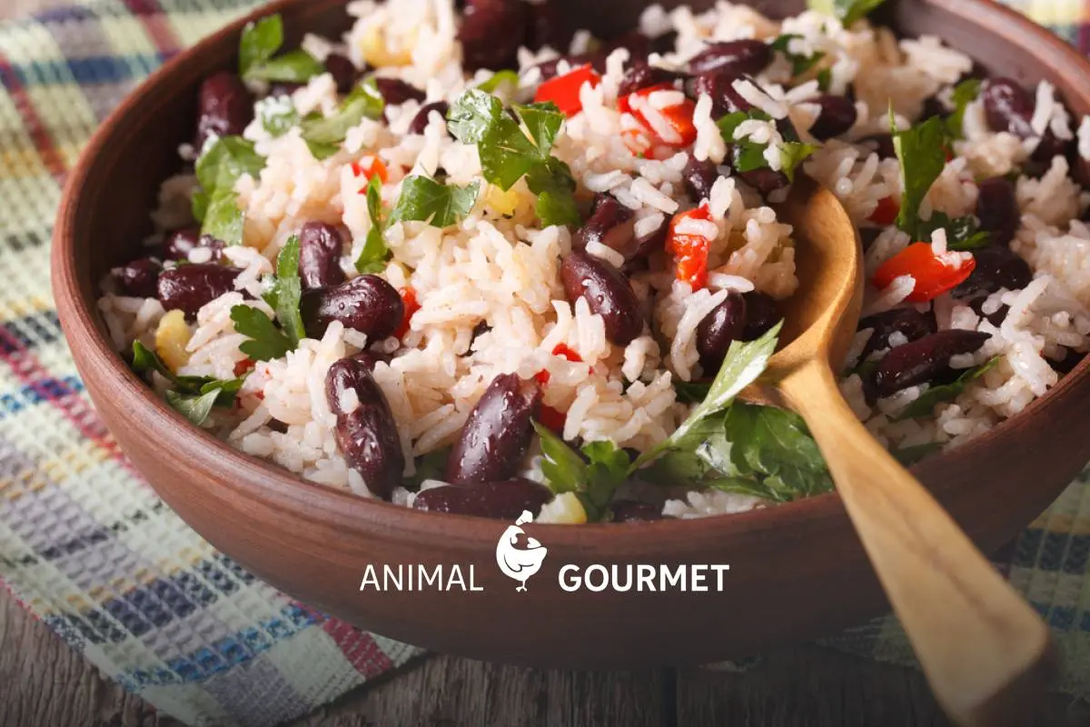 Arroz con frijoles o ‘Moros con cristianos’: la receta original y clásica de la cocina cubana