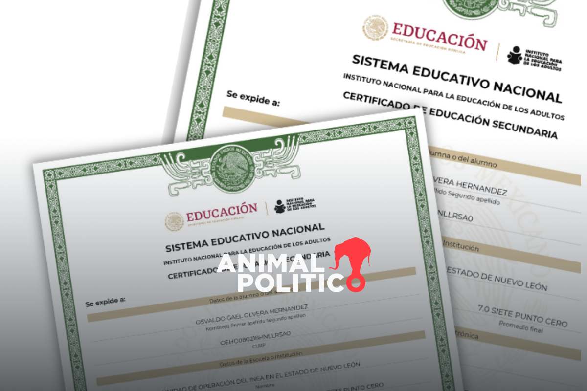 Así puedes obtener un duplicado de tu certificado de primaria o secundaria de la SEP