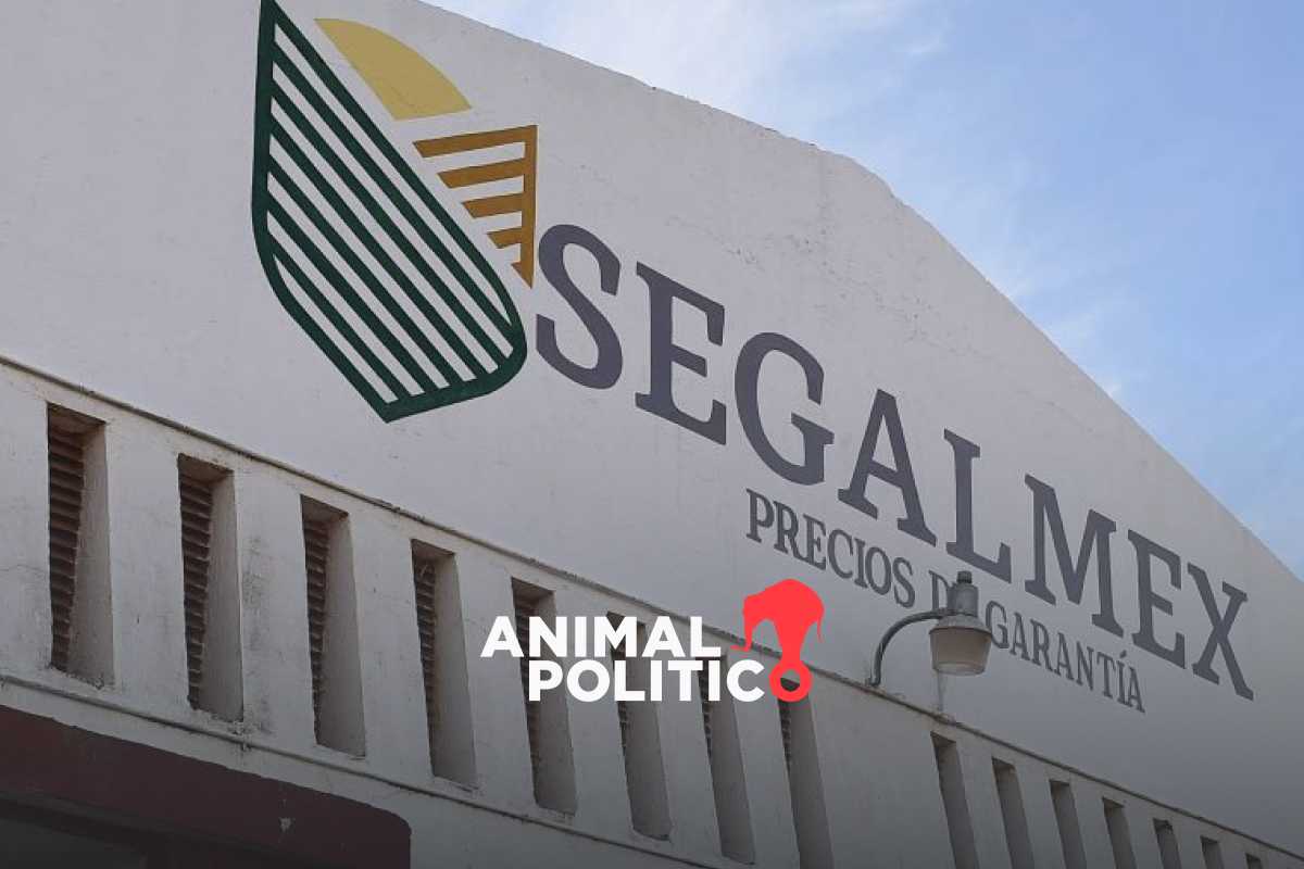 Auditoría detecta nuevas inconsistencias en Segalmex, ahora por transporte de maíz y frijol