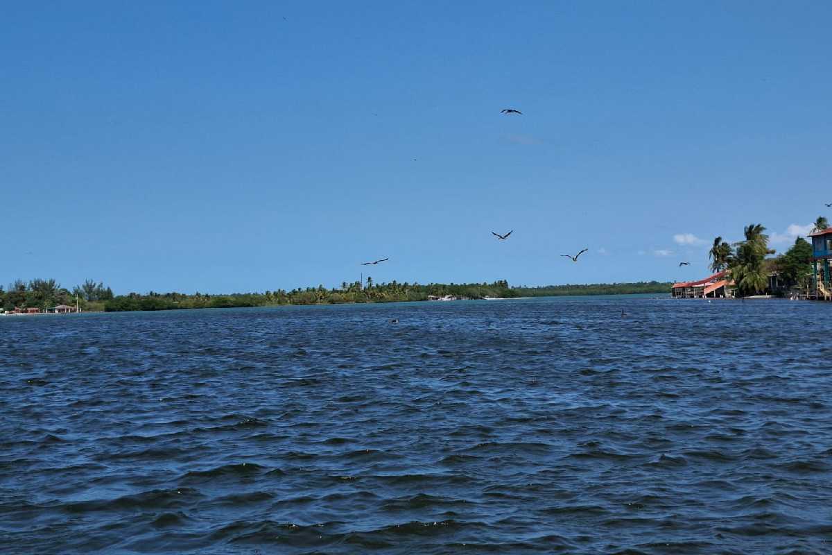 Avanzan labores de limpieza y apoyo a pescadores por derrame de hidrocarburos en Veracruz y Tabasco