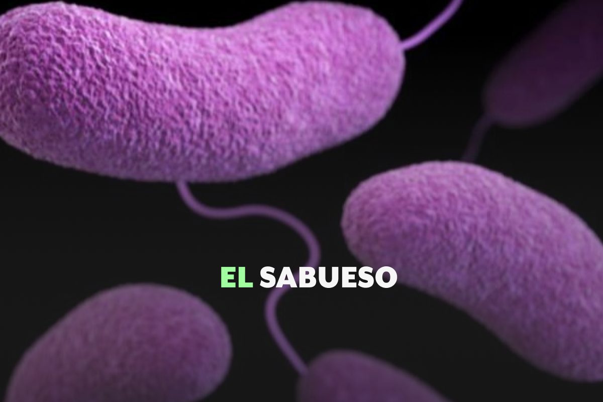 Bacteria “come carne”: ¿cómo evitar que te haga daño? 