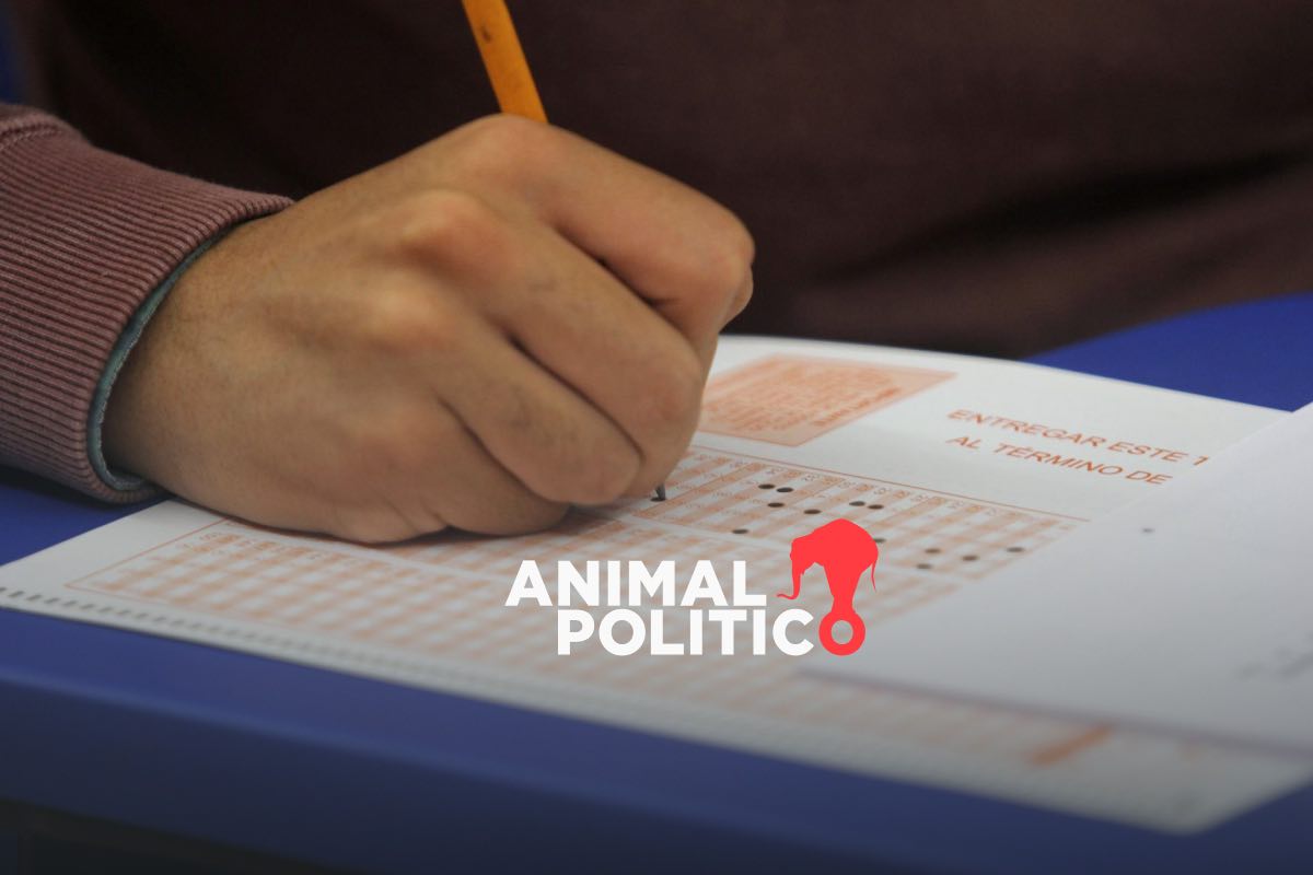 Tras baja de sitios web del INEE y Mejoredu, extrabajadores preservan evaluaciones e informes