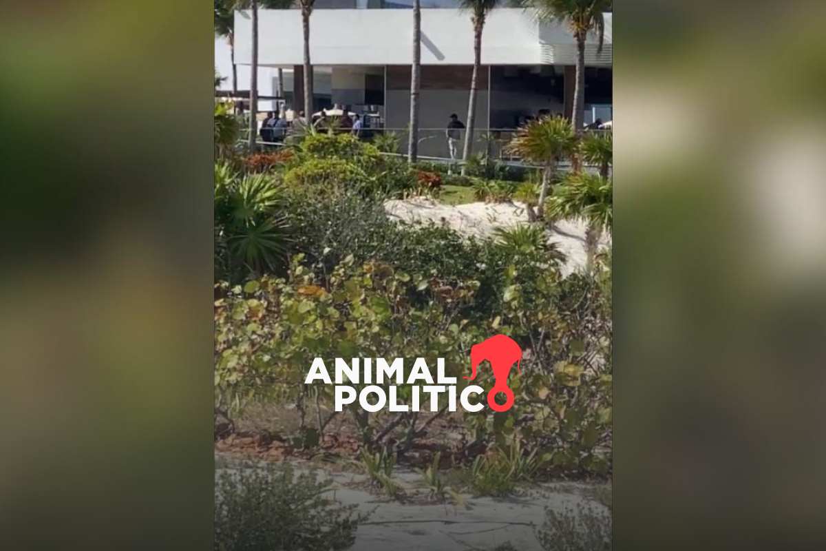 Balacera entre policías y civiles armados en hotel de Isla Mujeres deja una persona muerta