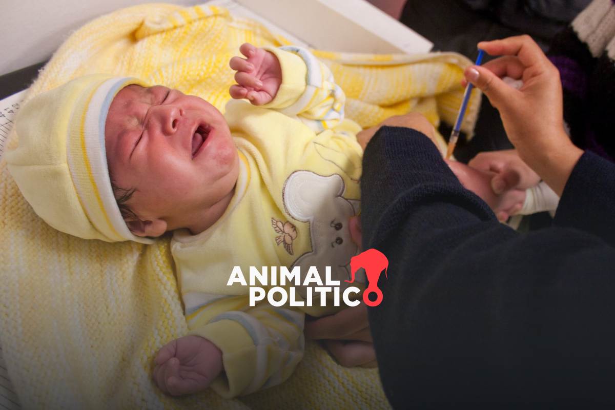 México registra 43 casos de sarampión y 288 de tosferina; estos son los síntomas y recomendaciones