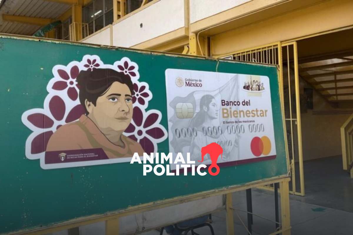 Beca Rita Cetina: así puedes actualizar tus medios de contacto de la Llave MX 