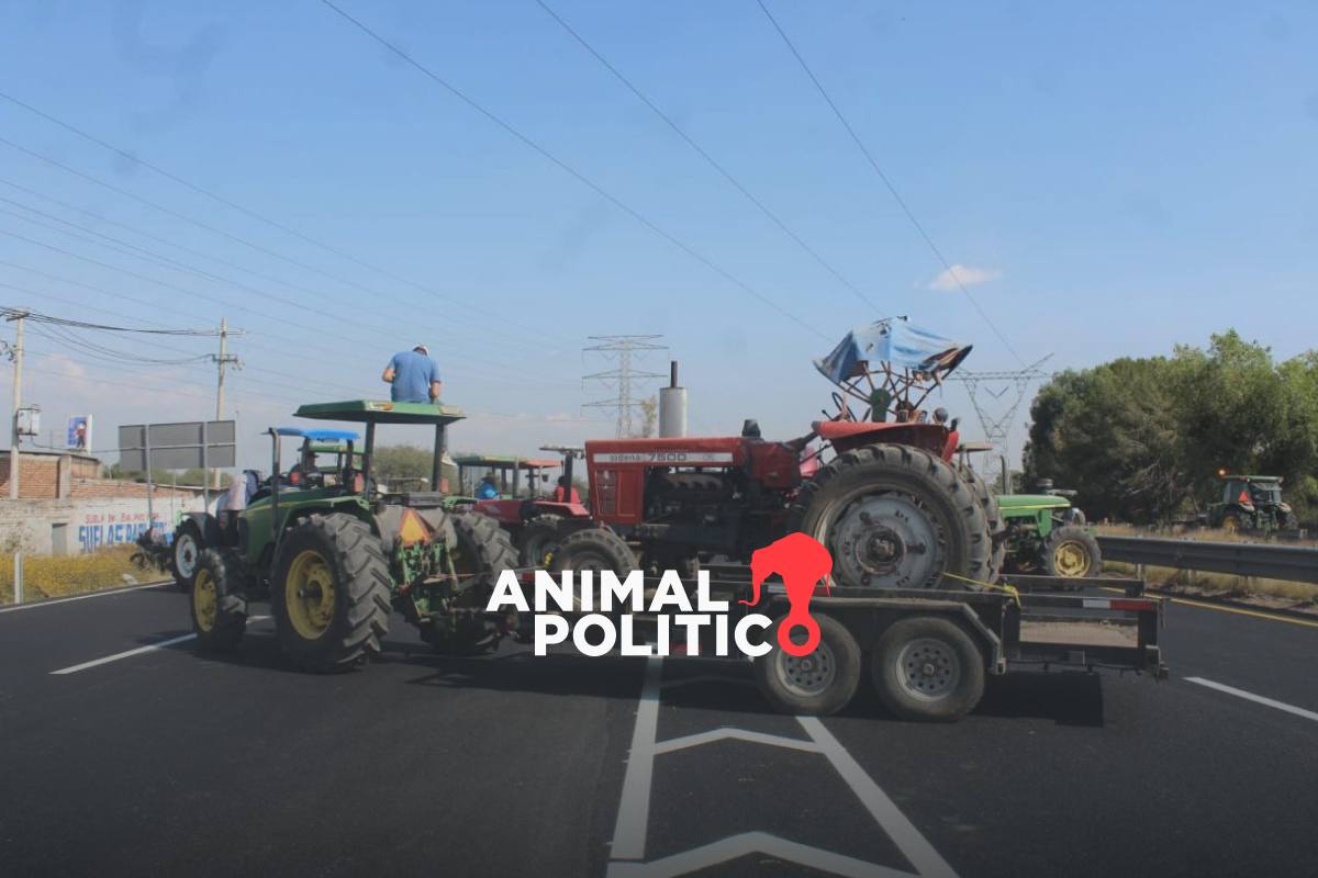 Campesinos mantienen bloqueos en carreteras por precio del maíz: estos puntos siguen cerrados 