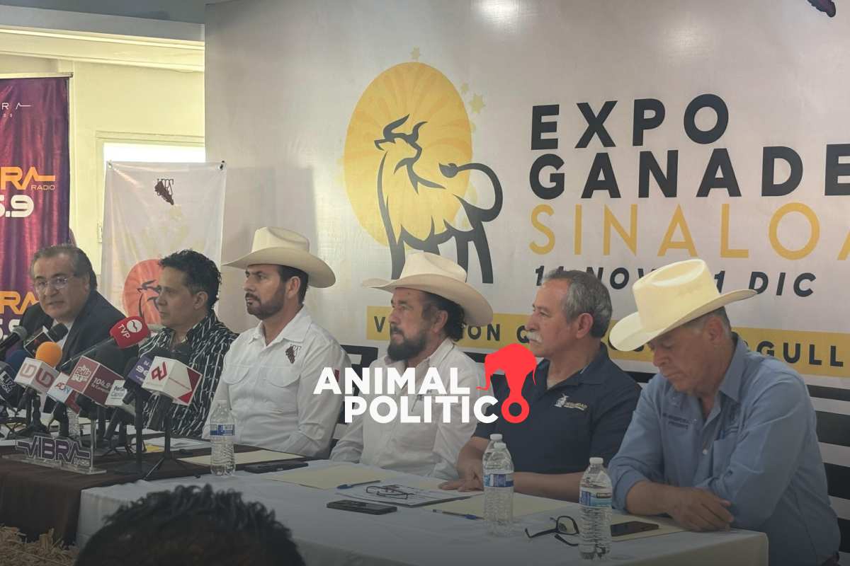 Cancelan Expo Ganadera y Palenque en Culiacán, Sinaloa, por violencia e inseguridad