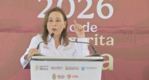 Nahle niega que hidrocarburos en sur de Veracruz sea derrame de algún barco o plataforma