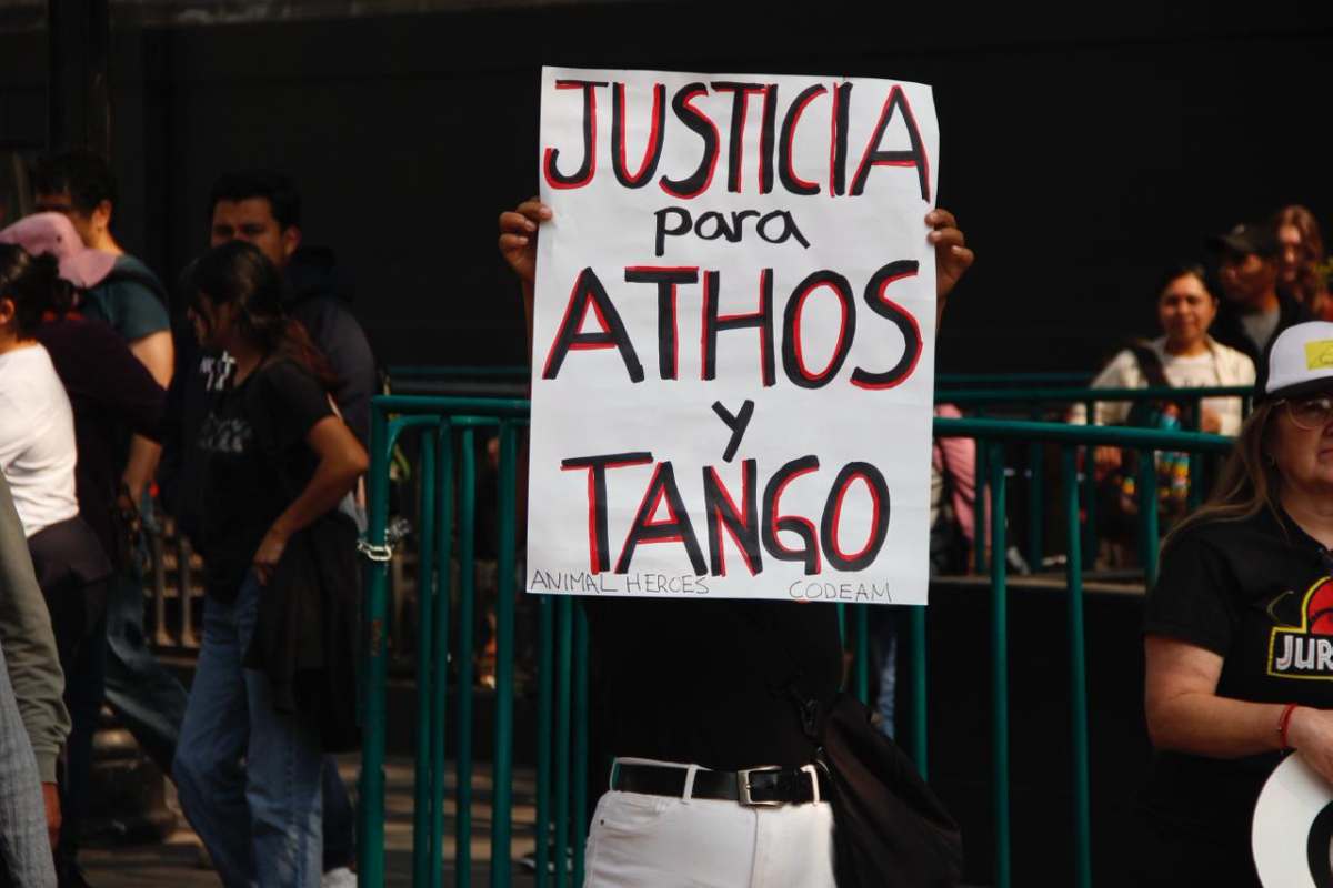 Caso Athos y Tango: defensa presentará denuncias por corrupción contra ministro de la Corte