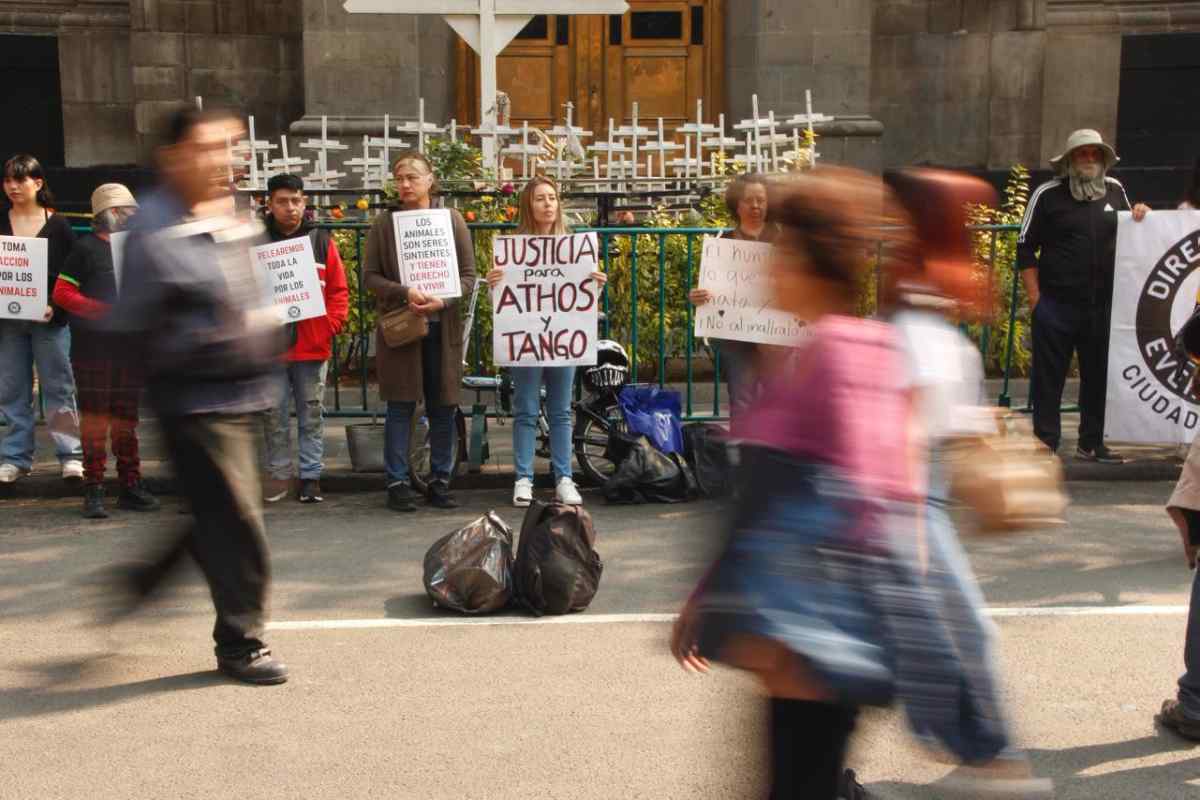 caso-athos-tango-scjn-cierra-defensa-corrupcion