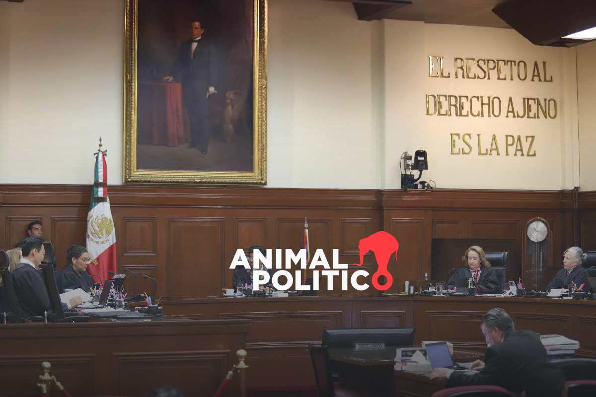 Caso Digna Ochoa: las presuntas omisiones cometidas por el exfiscal que ahora trabaja en la Corte