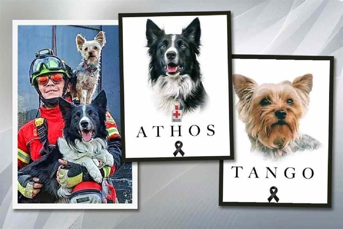 Caso arhos argo corte resolución