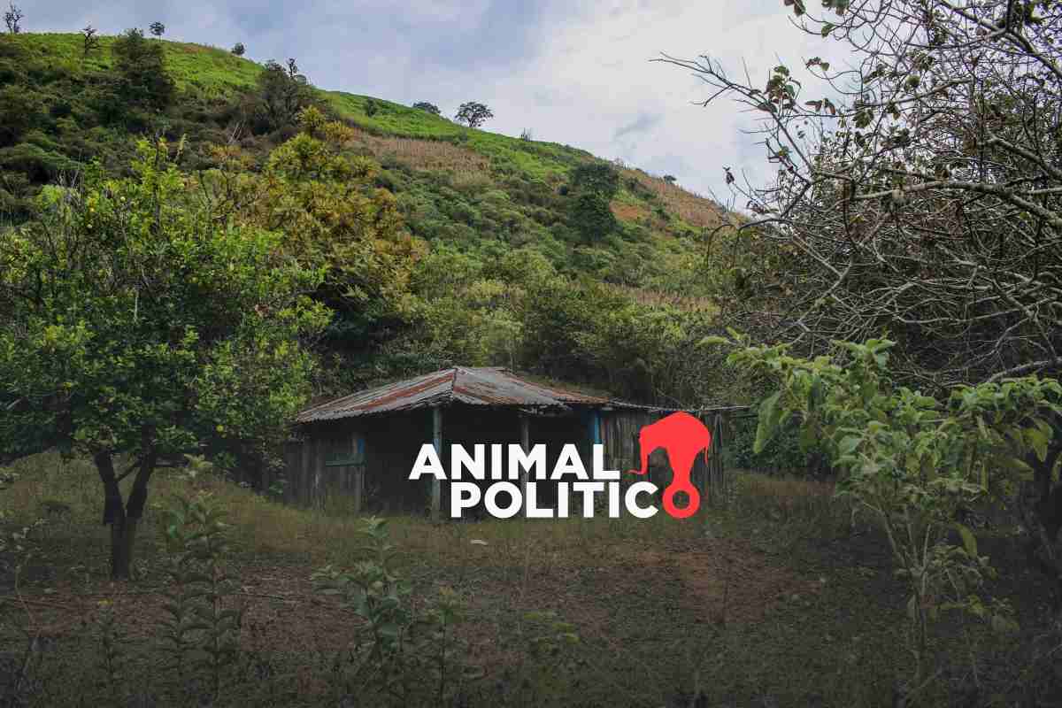 Mineros fueron secuestrados por integrantes de Los Chapitos; los confundieron: Harfuch