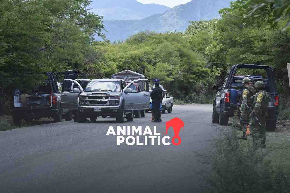 El reclutamiento y asesinato de César, un adolescente, sacude Iguala