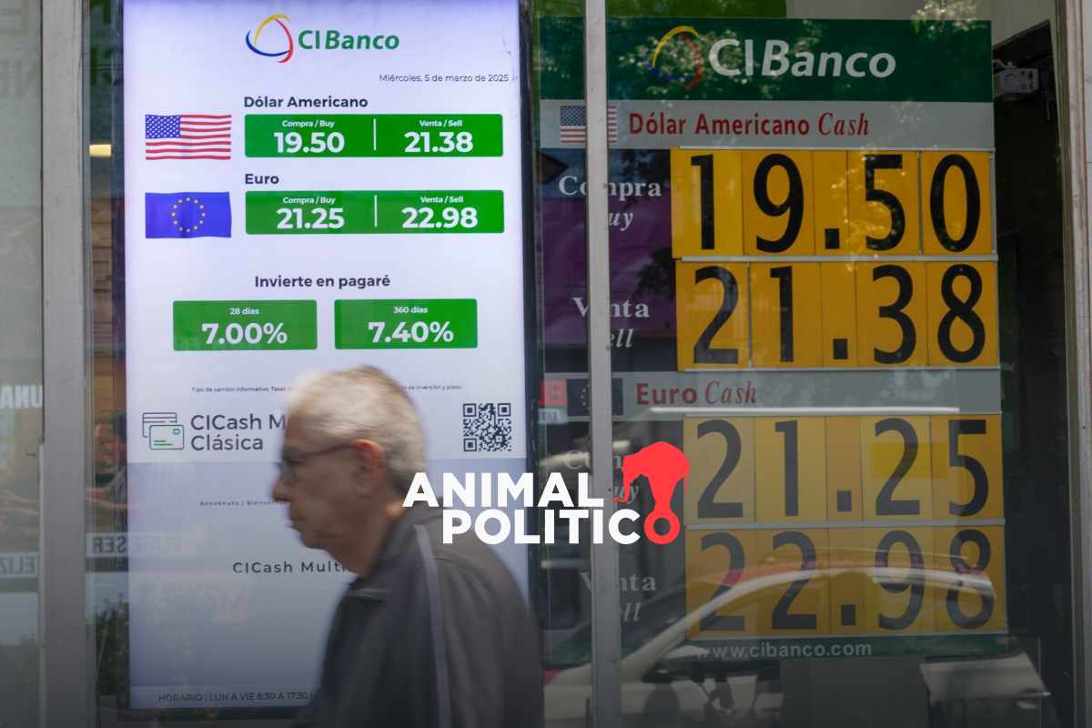 CiBanco, Intercam y Vector dejan de operar como bancos; ABM descarta afectaciones 