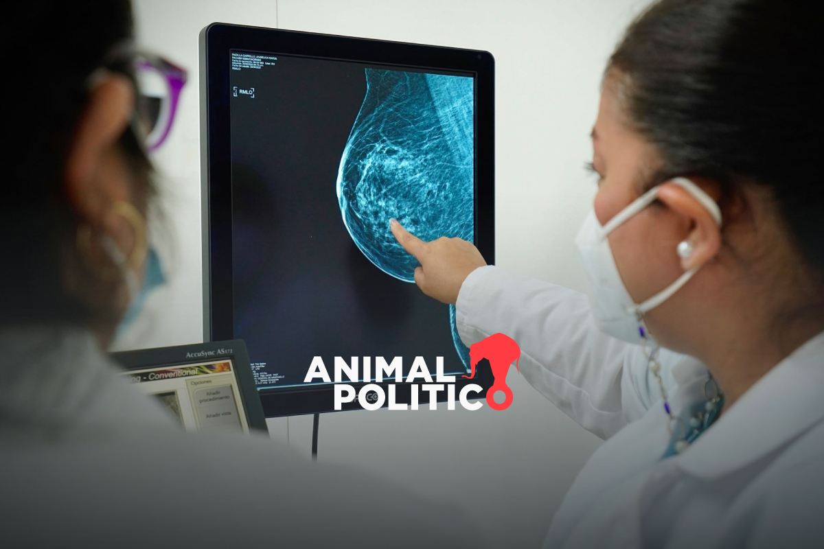 Científicos de la UNAM desarrollan vacuna terapéutica que elimina el cáncer de mama en modelos de la