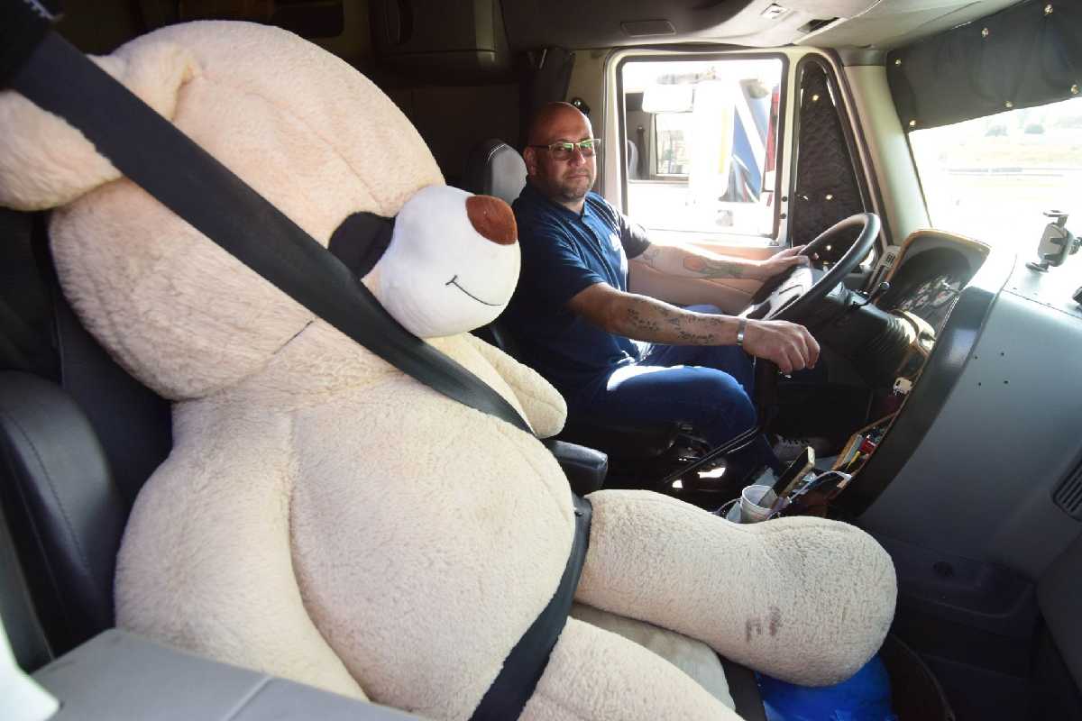 Cinturón de seguridad camiones de carga