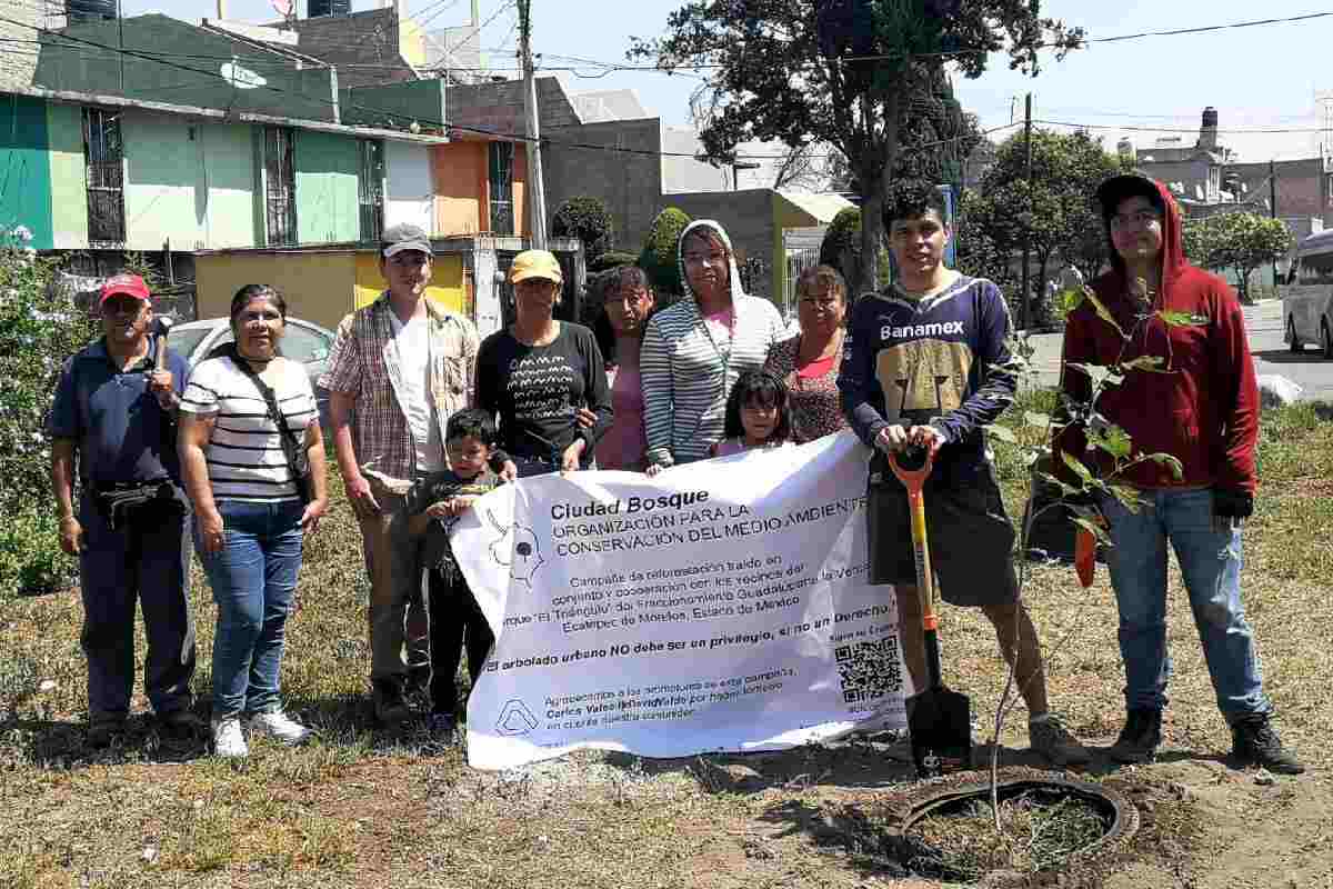 Ciudad Bosque, un proyecto que busca combatir desigualdades verdes en CDMX con la reforestación