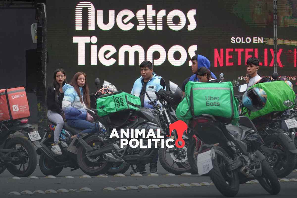 Código Fiscal pone en riesgo a usuarios en plataformas digitales; asociación advierte "vigilancia"