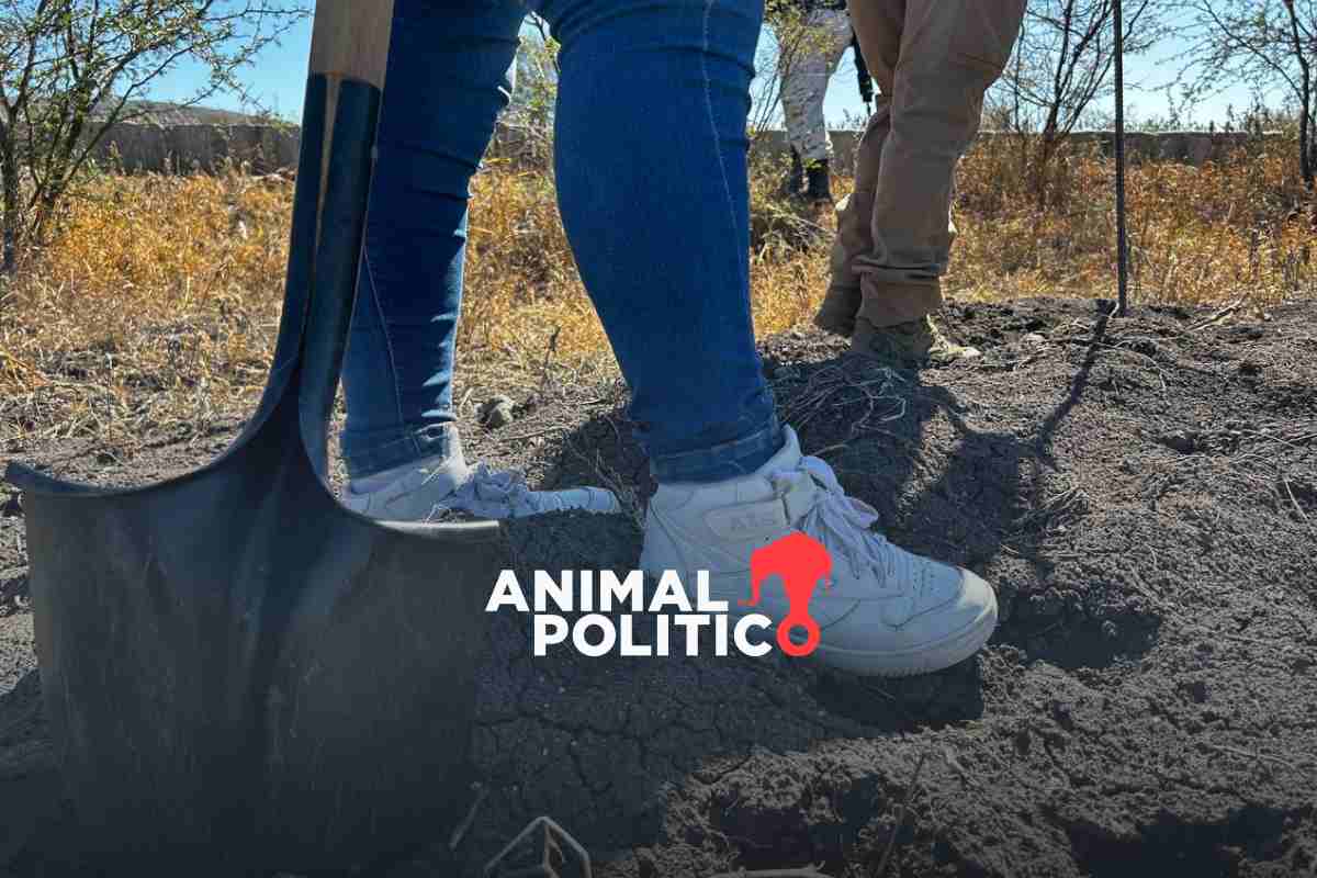 Colectivo “Hasta Encontrarte” suspende búsquedas de personas desaparecidas en Irapuato, Guanajuato 