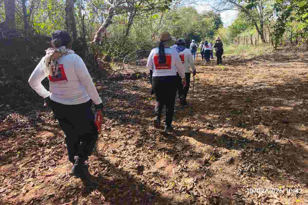 Colectivo Sabuesos Guerreras interpuso 72 amparos para que la Fiscalía de Sinaloa busque a sus desaparecidos