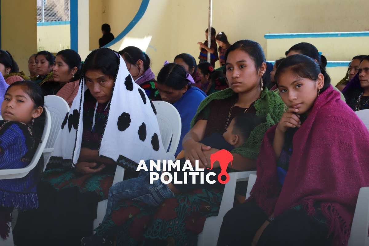 Violencia agrava desplazamiento forzado: Chihuahua, Guerrero, Chiapas y Sinaloa, los más afectados 