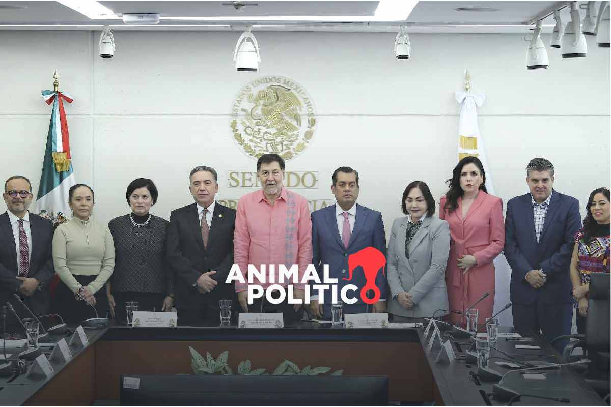 Comité de Evaluación del Legislativo pide más recursos; no tiene fecha para publicación de registros