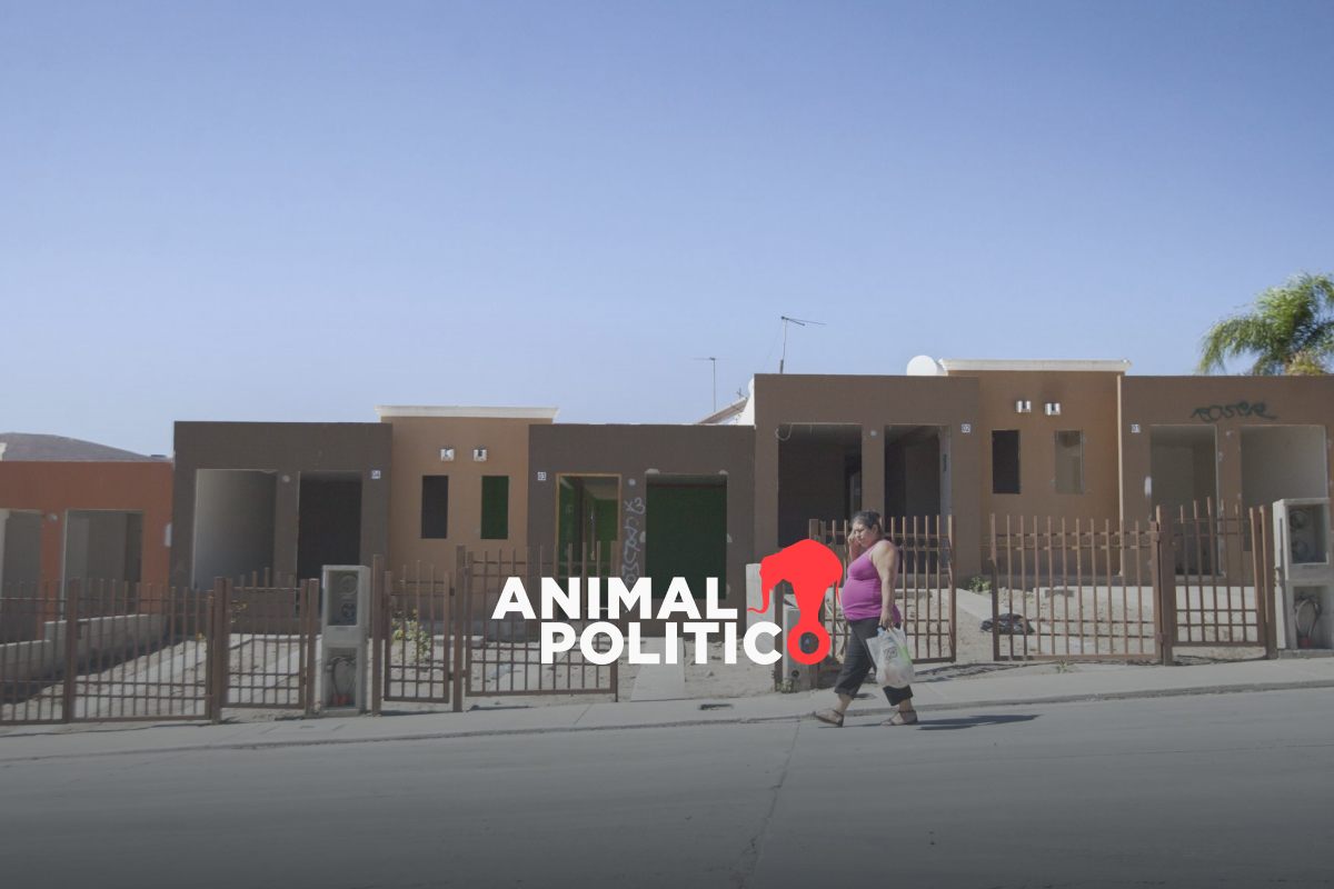 Cómo denunciar despojos de vivienda en CDMX; ésta es la línea telefónica para atender casos