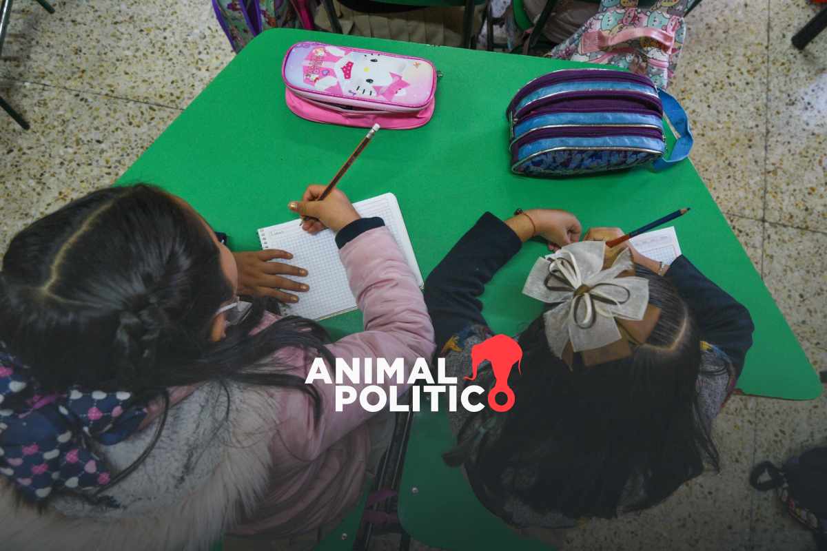 Cómo descargar la boleta de calificaciones de la SEP de primaria y secundaria