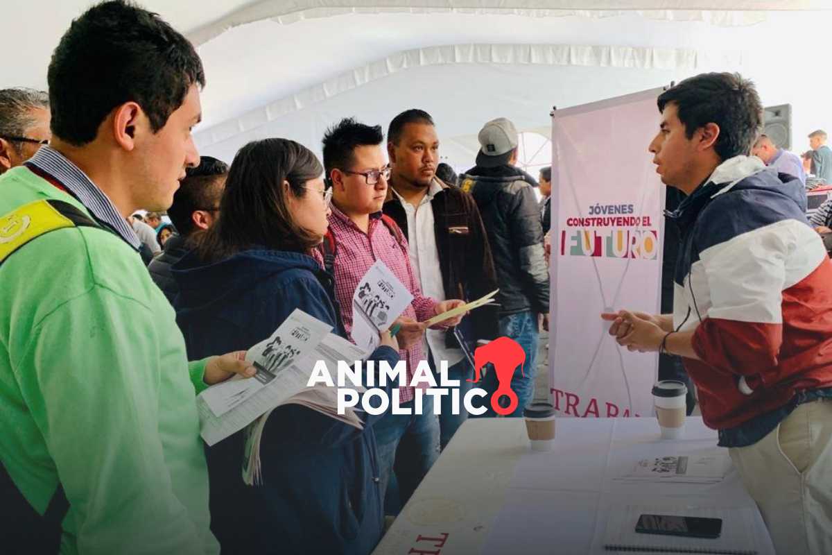 Jóvenes Construyendo el Futuro: así puedes saber si aún hay espacios disponibles para el programa 