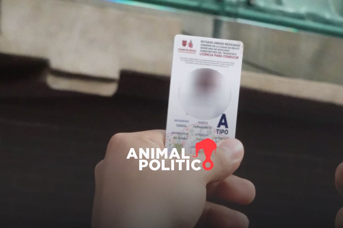 Cómo tramitar la licencia de conducir permanente digital en CDMX y evitar largas filas