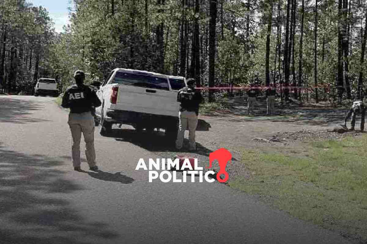 Comunidades quedan atrapadas por enfrentamientos armados en Guadalupe y Calvo, Chihuahua