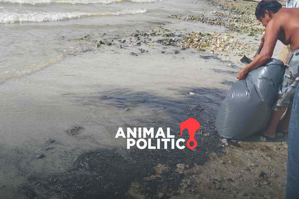 Comunidades del Golfo de México exigen a Sheinbaum frenar la extracción de combustibles fósiles