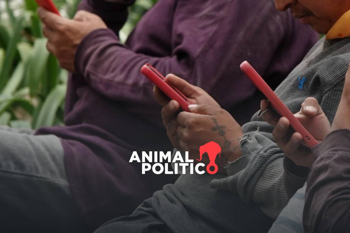 Ley de Ciberseguridad en Puebla: contempla 3 años de prisión a quien insulte en redes sociales