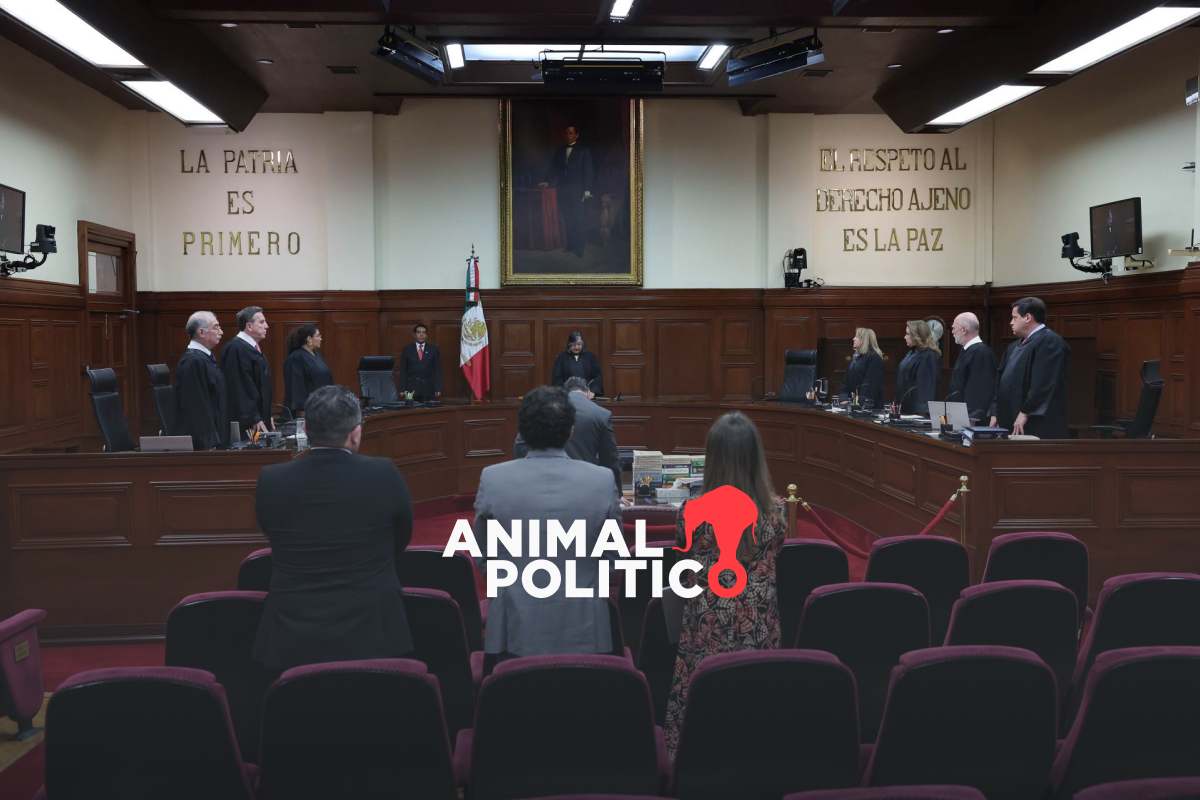 Corte ordena reincorporar a elección de jueces a 7 aspirantes rechazados por el Poder Judicial