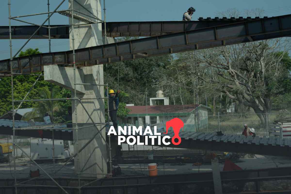 Corredor Biocultural Gran Selva Maya traerá expansión de megaproyectos, advierten organizaciones