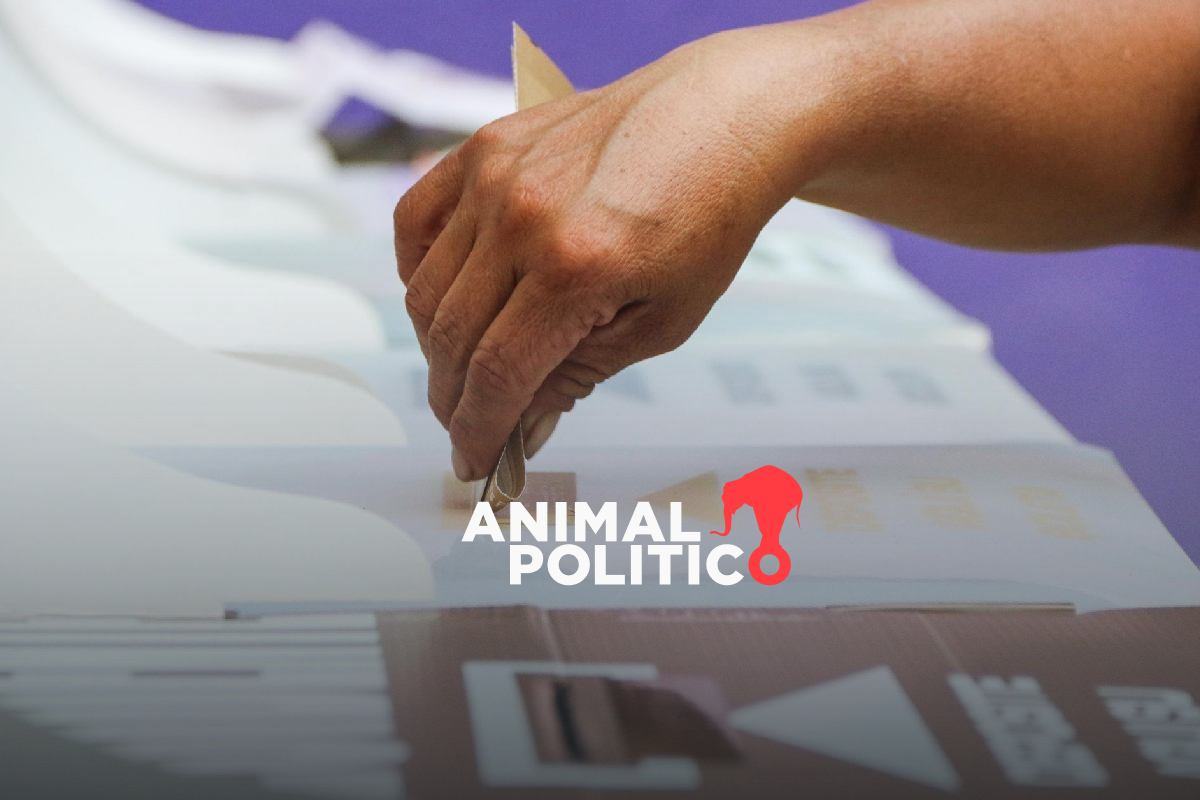 Surge Frente Amplio Democrático contra la reforma electoral; buscan frenar “iniciativa regresiva”