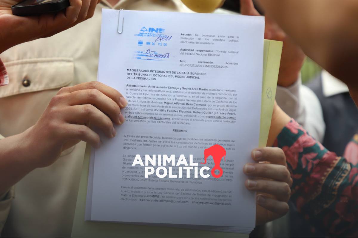 Denuncian a 11 candidatos de la elección judicial por presuntas relaciones con el crimen organizado