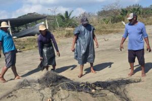 Derrame de hidrocarburos en Veracruz: al menos 39 comunidades afectadas; no se ha detectado el origen