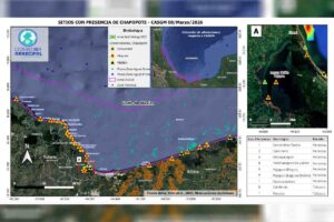 Derrame de hidrocarburos en Veracruz: al menos 39 comunidades afectadas; no se ha detectado el origen