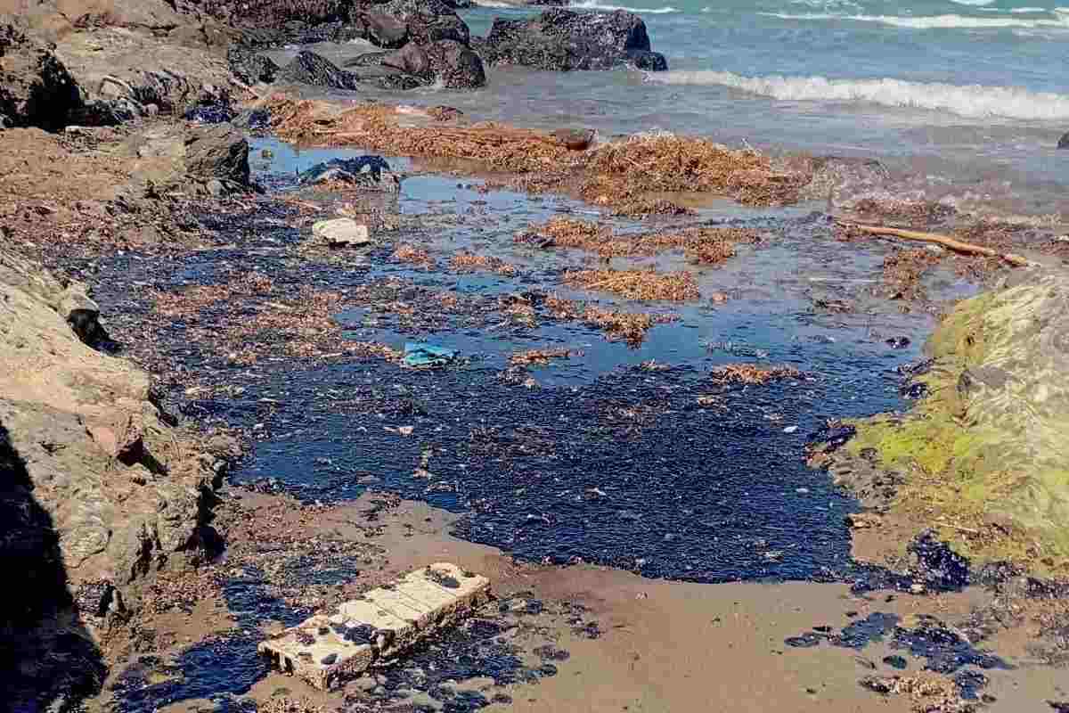Derrame de hidrocarburos en Veracruz provino de buque privado y no de Pemex, confirma gobernadora