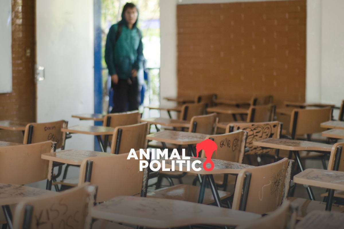 Deserción escolar en México: reportan que 994 mil alumnos dejaron sus estudios en ciclo 2024-2025