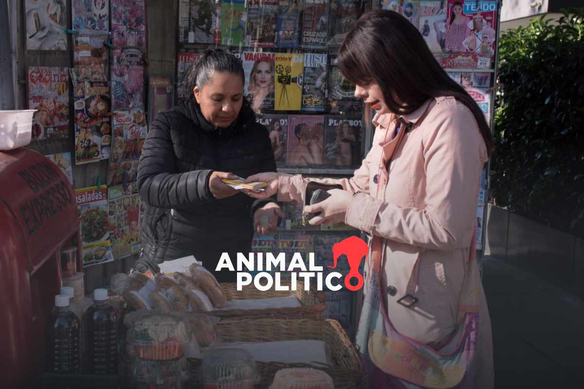 Desigualdad económica en mujeres: desempleo por cuidar, informalidad laboral y salarios de pobreza