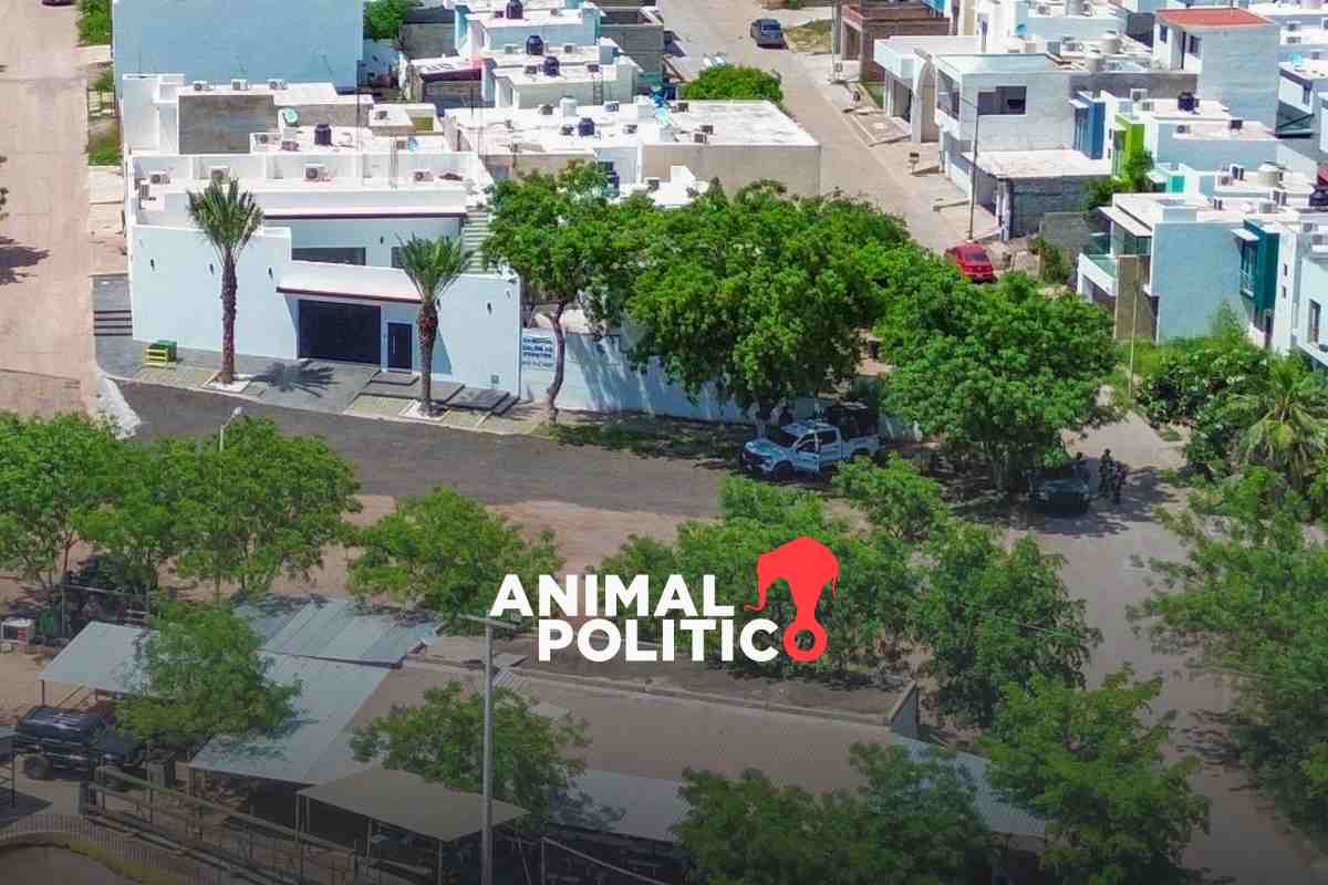 Detienen a "El Piyi", presunto operador de "Los Chapitos", tras operativo en Culiacán, Sinaloa