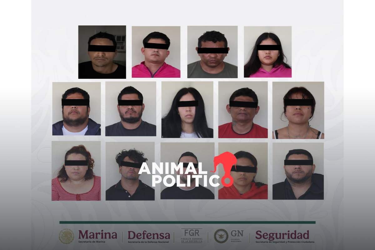 Detienen a 14 presuntos integrantes del CJNG durante cateos en Veracruz