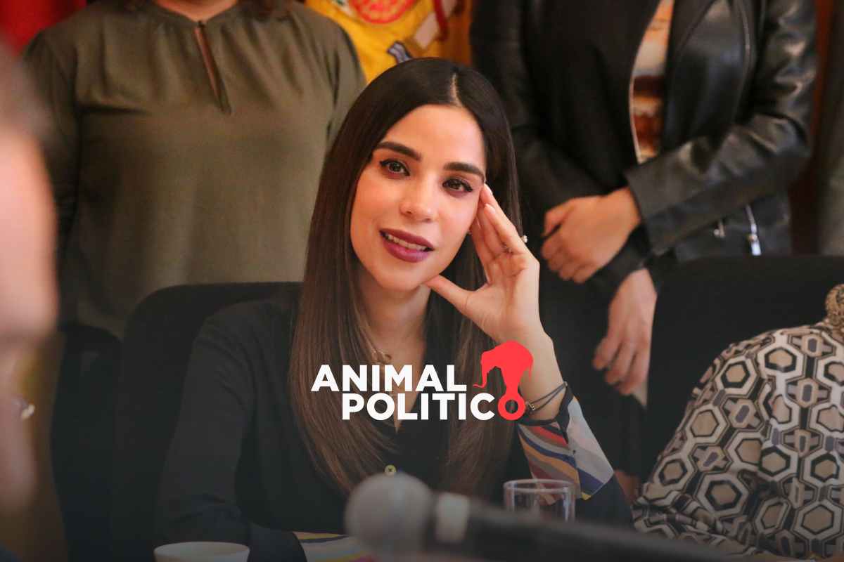 Diputada del PT, Diana Barreras, defiende sanción a ciudadana que la cuestionó en redes sociales