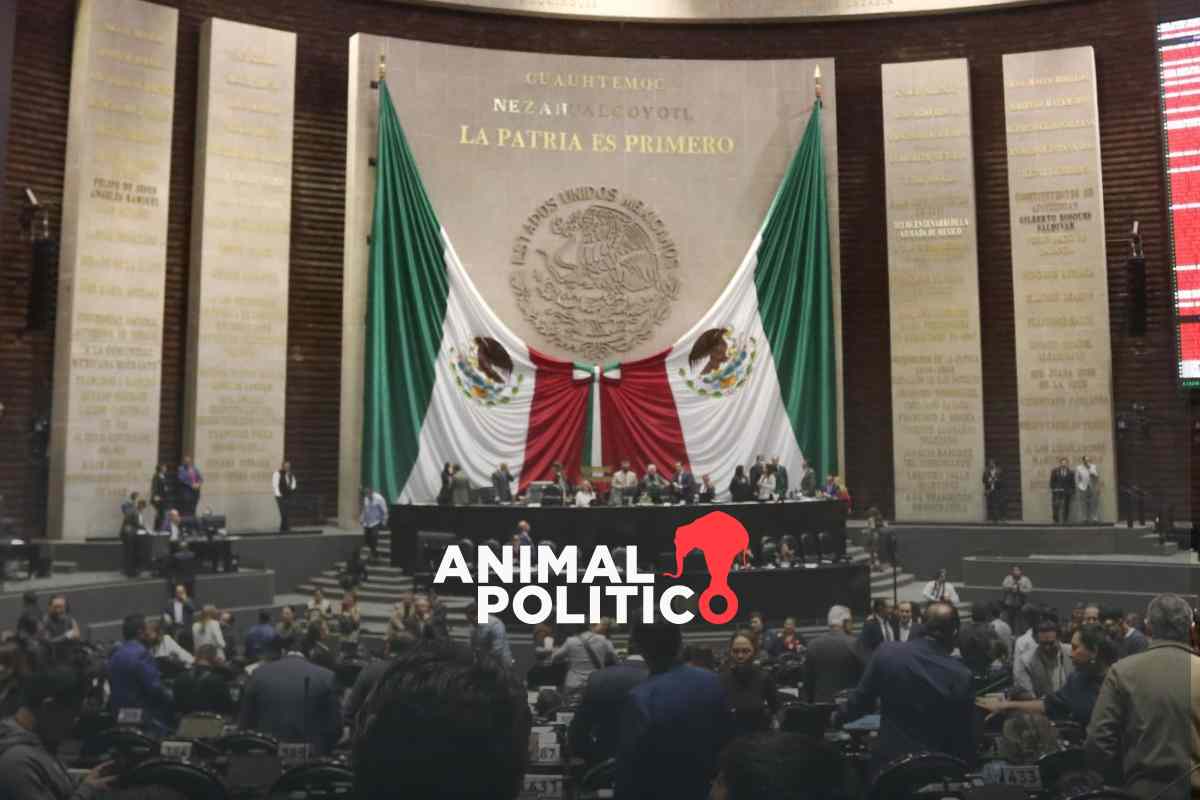Diputados aprueban por unanimidad reforma que armoniza 17 leyes en igualdad sustantiva