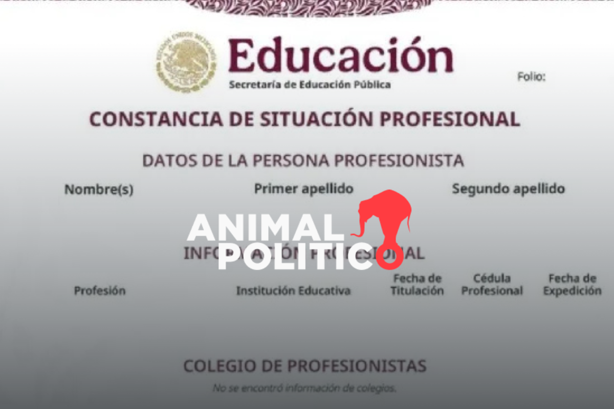 Constancia de Situación Profesional: te decimos qué es, para qué sirve y cómo descargar el documento