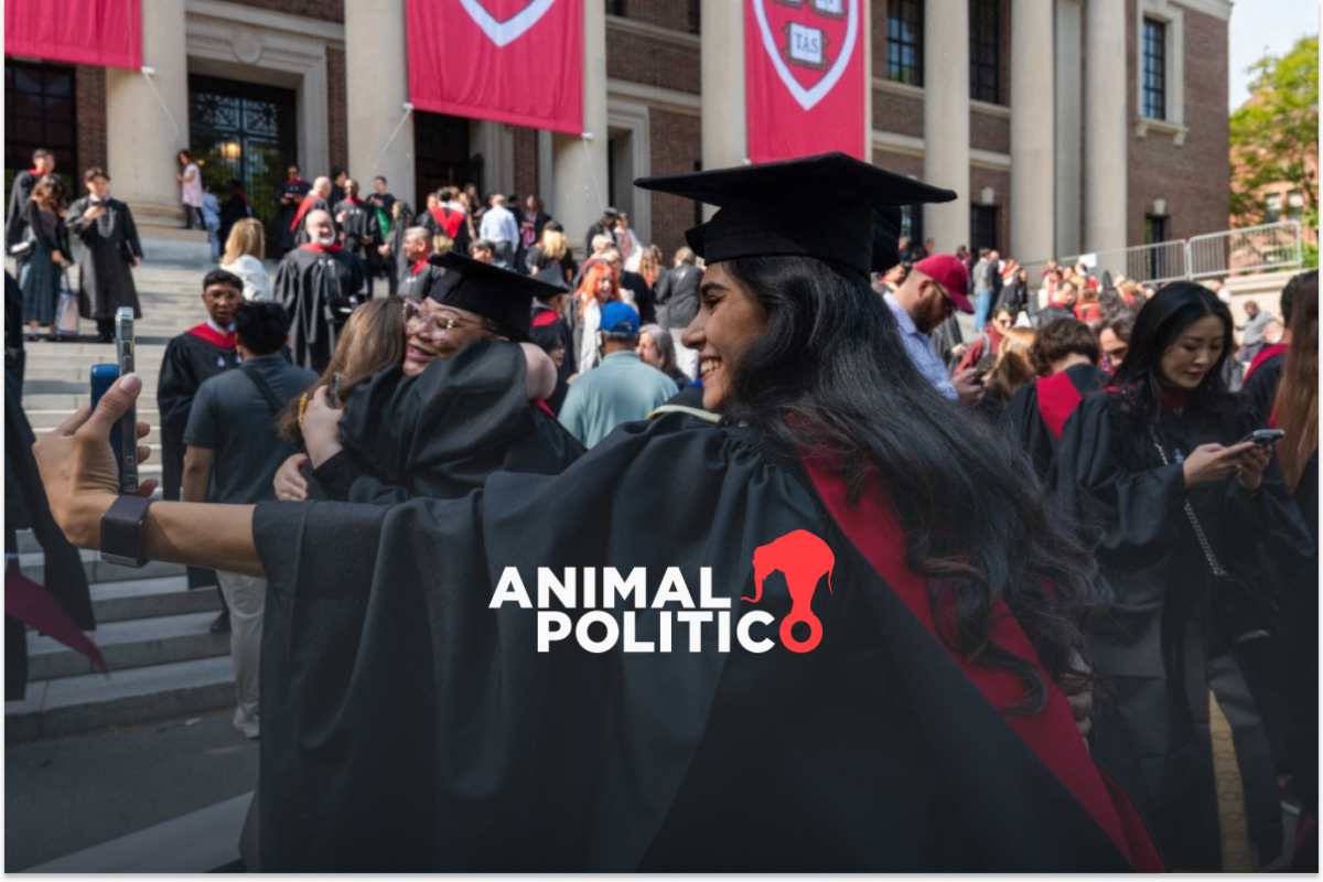 Donald Trump insiste en que la Universidad de Harvard debe entregar lista de estudiantes extranjeros